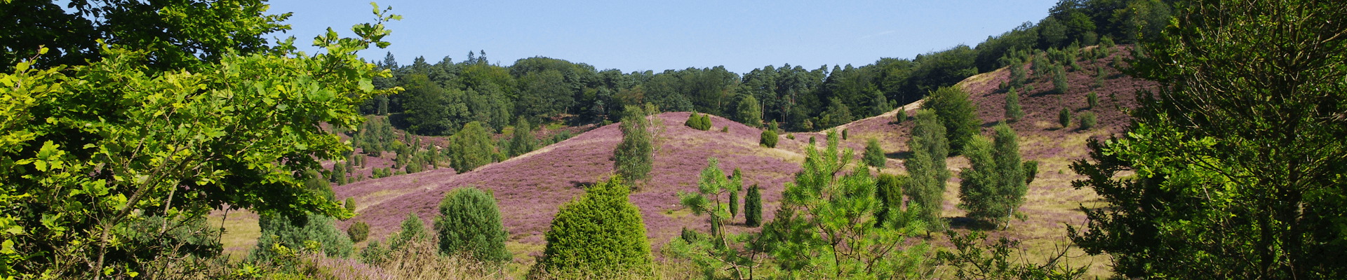 Totengrund - Jutta Habermann